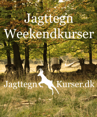 jagttegn weekendkurser