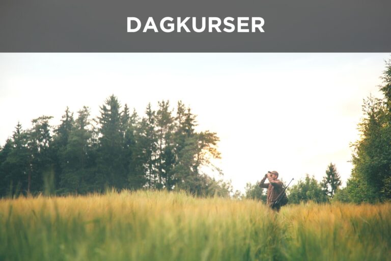 Jagttegn_Dagkurser_produkt