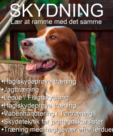 Skydetræning jagtbane på KFK